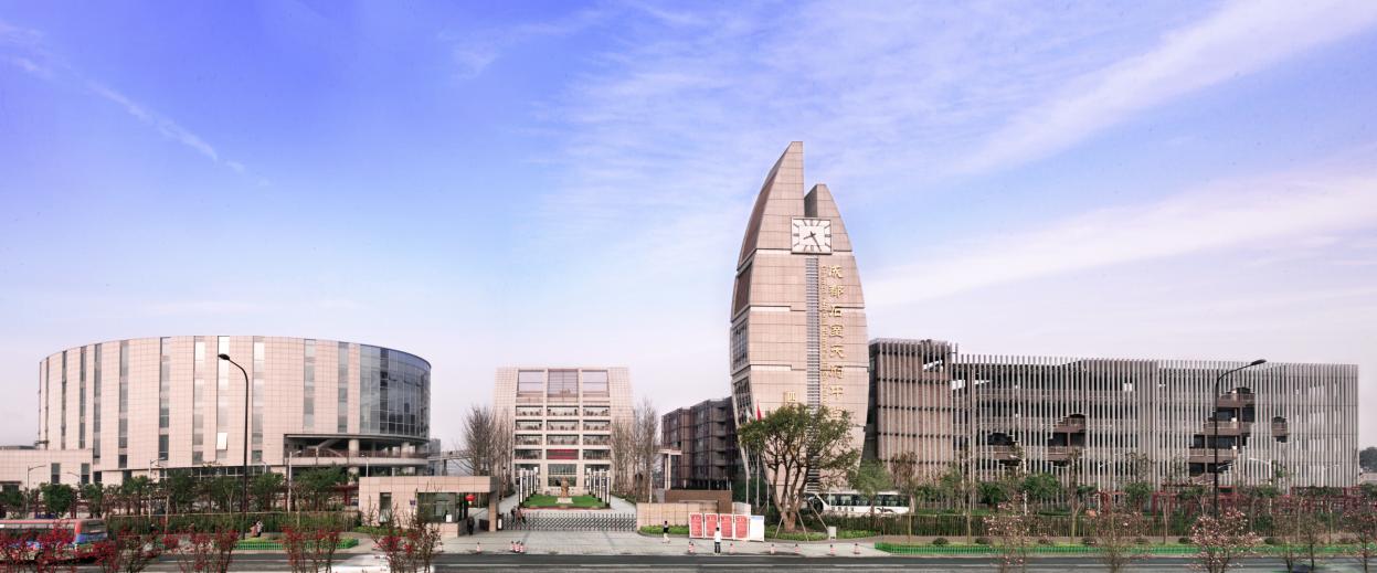 成都高新南区省级示范高中,成都高新区大学名单