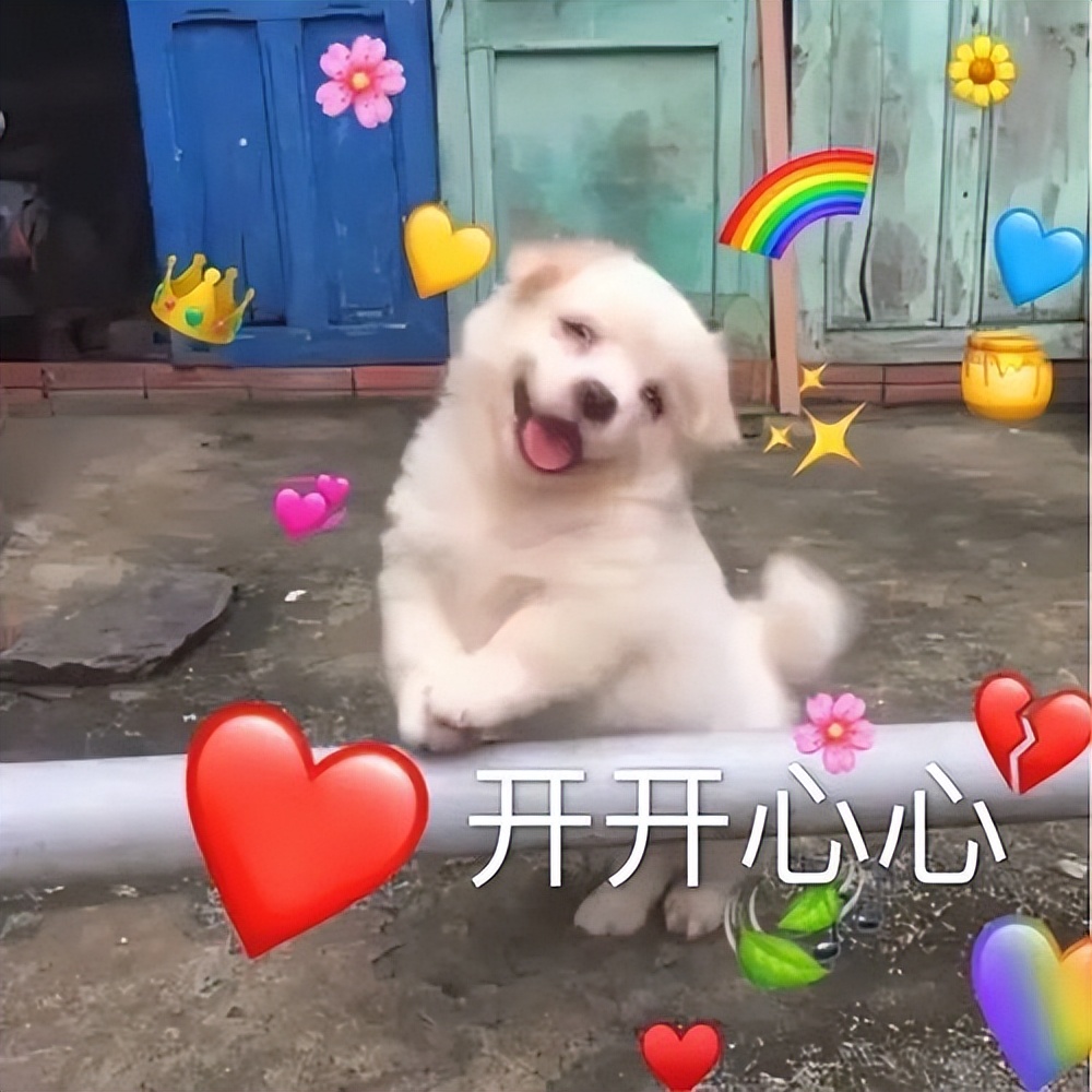 会计的薪资待遇如何,会计的最高薪酬