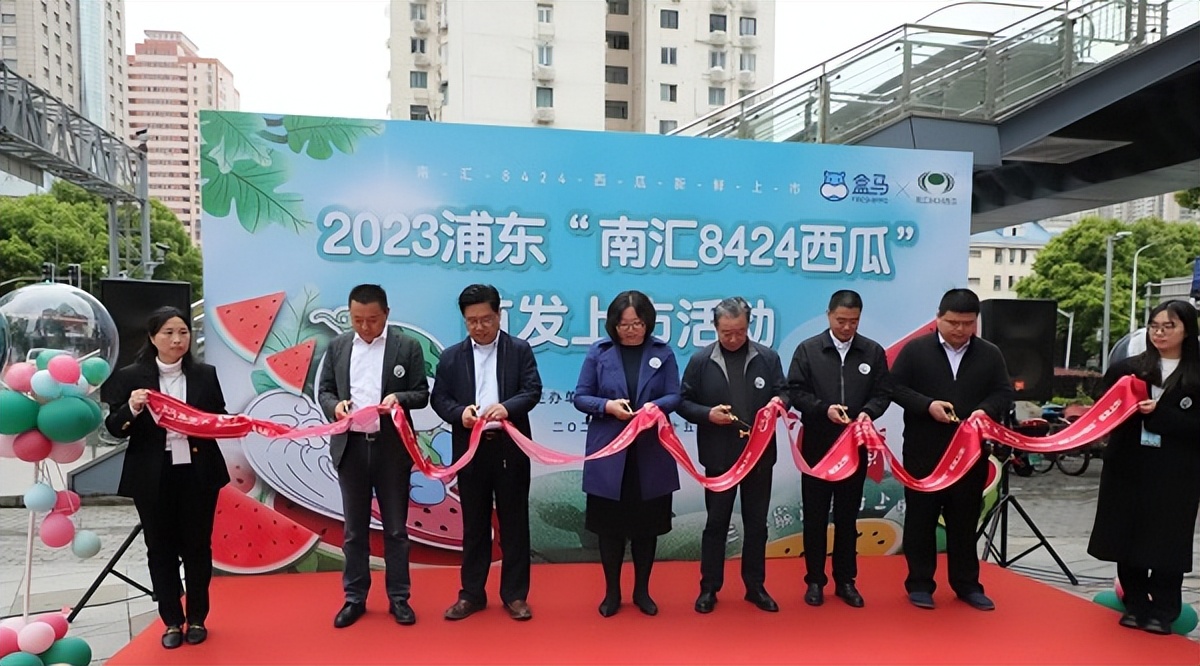 “瓜中顶流”南汇8424新鲜上市消费者在盒马买西瓜线上订单占比已超90%