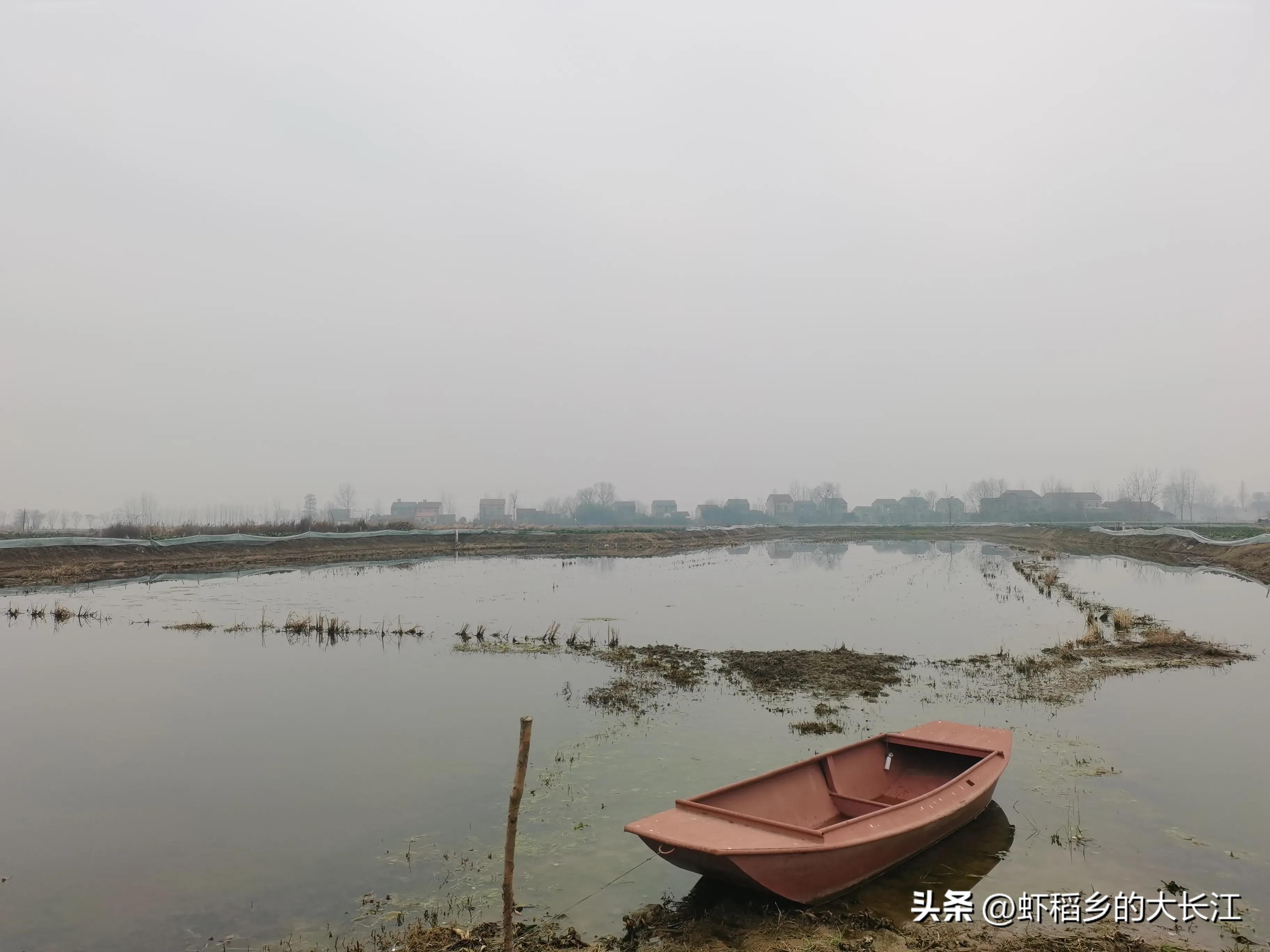 春雷一声响祖国好风光,春雷一声响完整版