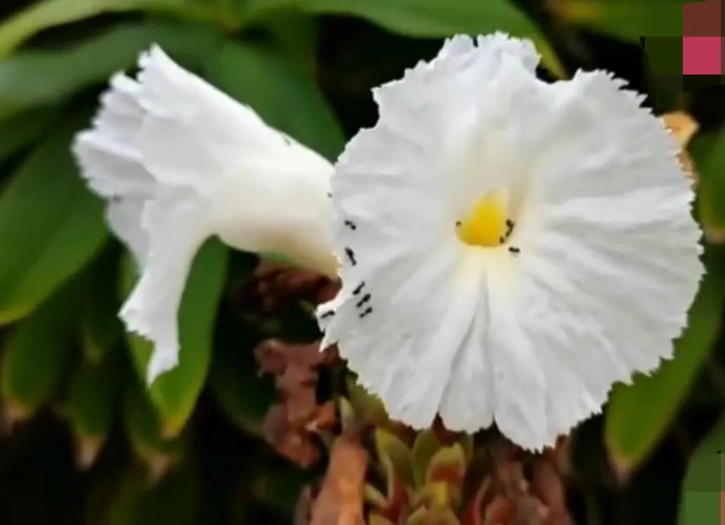 新手发现9：我眼里的头条号百度号企鹅号网易号搜狐号2022