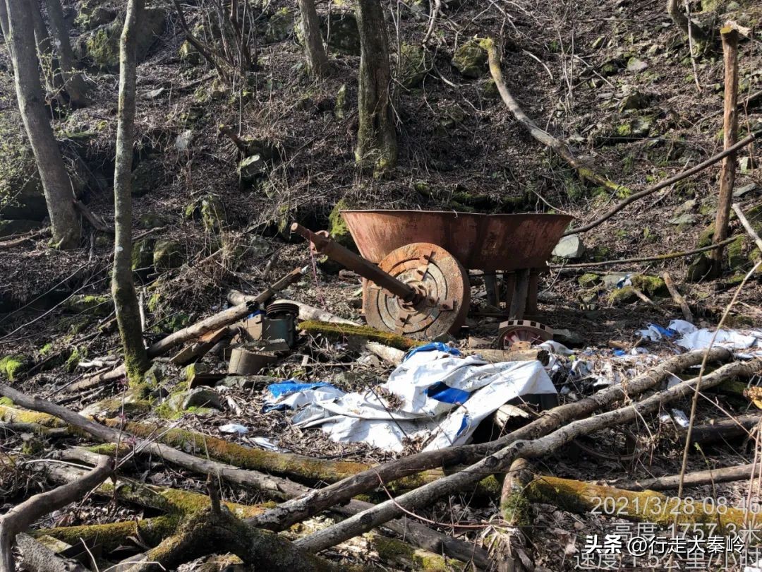 首阳山穿越大坪梁景色怎么样,大坪梁穿越到首阳山攻略
