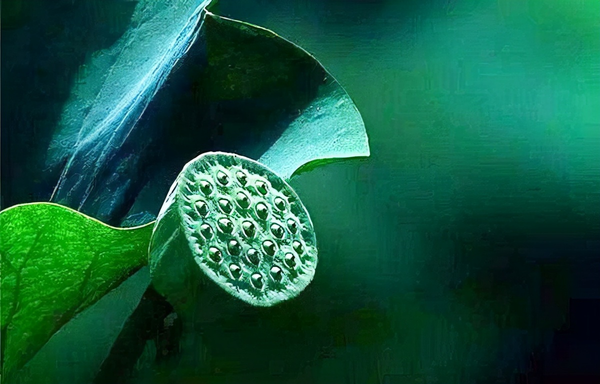 星云大师说人一定有运气,星云大师多做好事