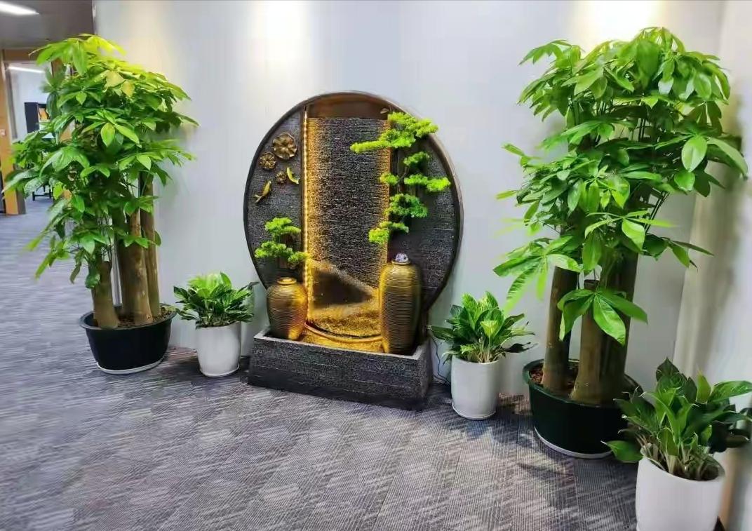 客厅养什么花最好最招财,客厅养什么花好看旺财