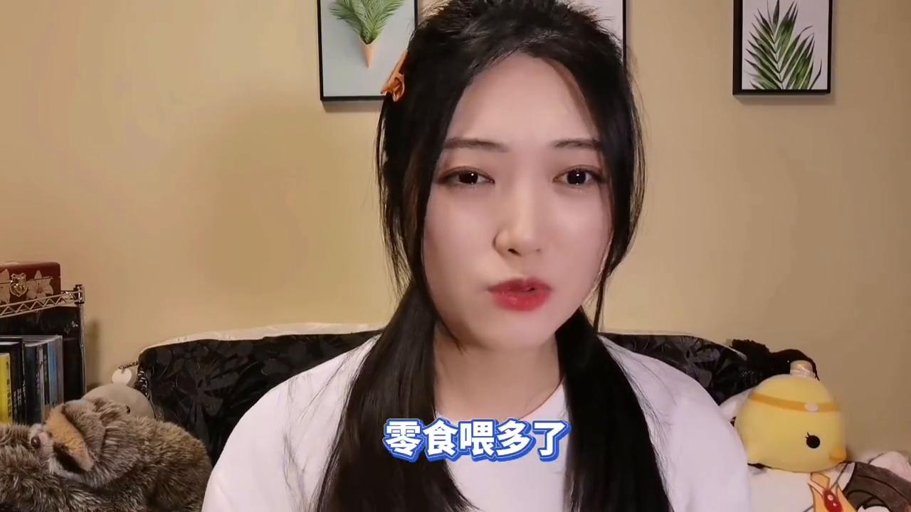 仓鼠怎么脱敏最快视频教学,仓鼠脱敏时间表