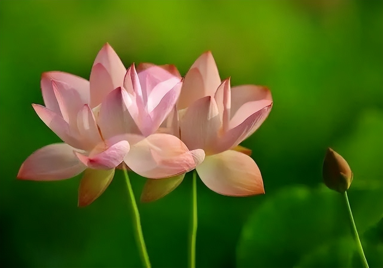 「今日作家」黄宏宣‖铁匠姐夫（散文）