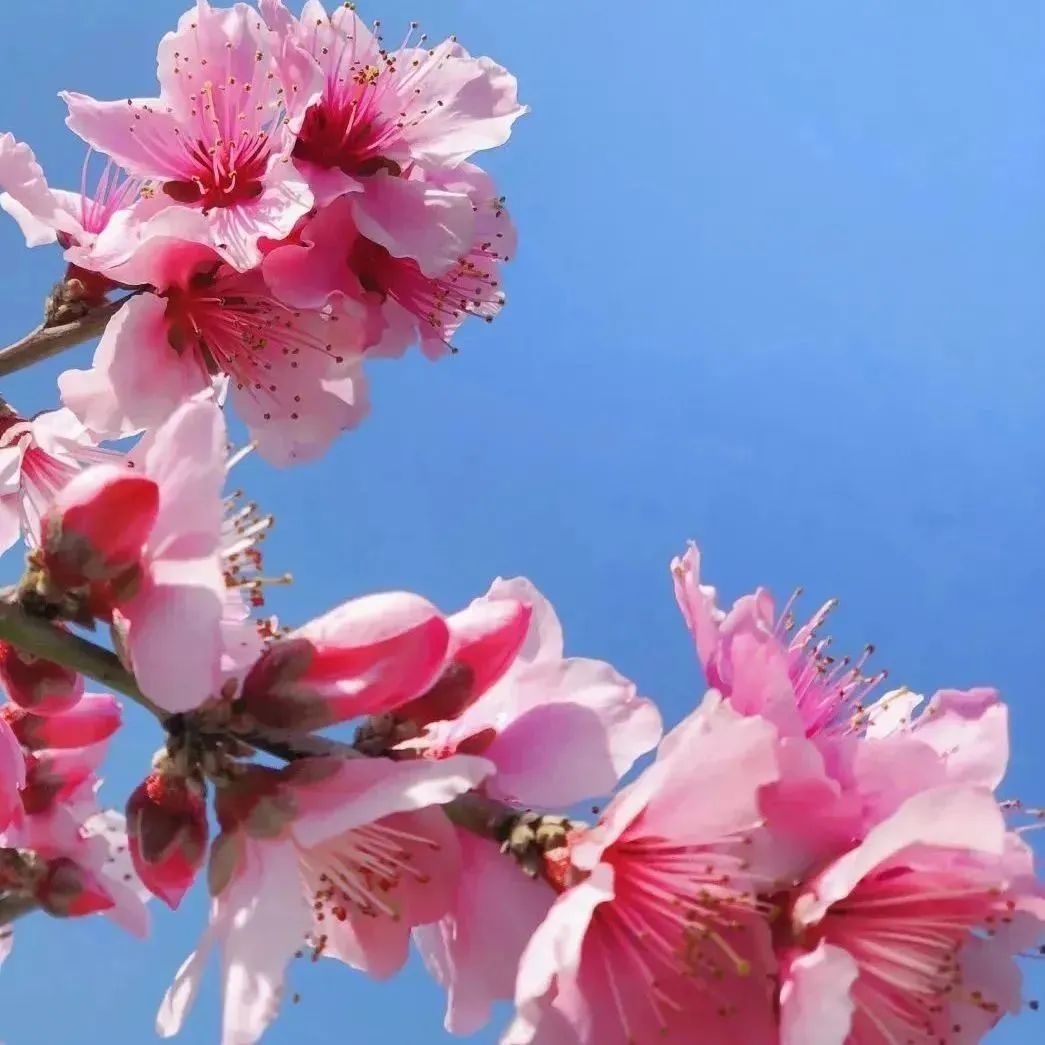 快上车app官网,快上车在哪设置