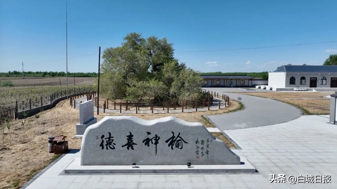 鎺㈣绁炴湪,鎺㈣涔鹃櫟