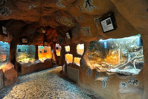 亲子玩的地方推荐上海浦东新区,浦东适合亲子游的地方推荐