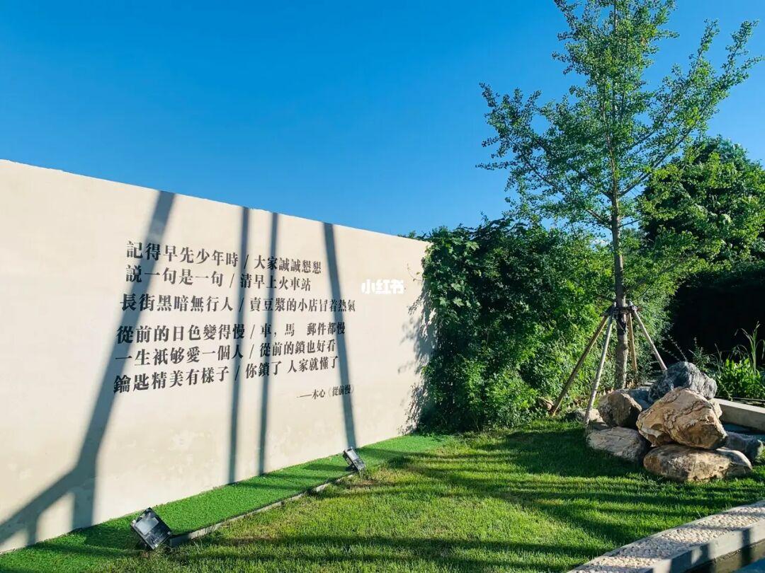 日流水20万，它在院里卖驴肉，小院餐饮正悄悄走火