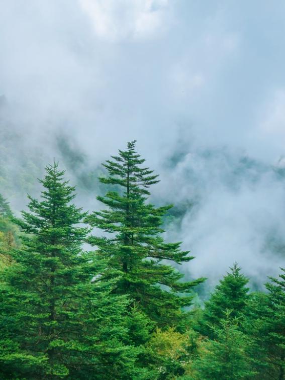 中国夏季避暑胜地排名前十,中国十大避暑胜地第一名你想不到