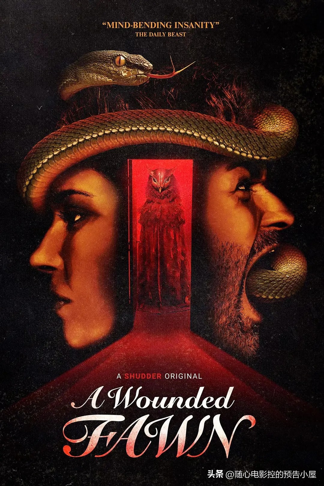 11月1日上线新片汇总,12月8日上线新片汇总