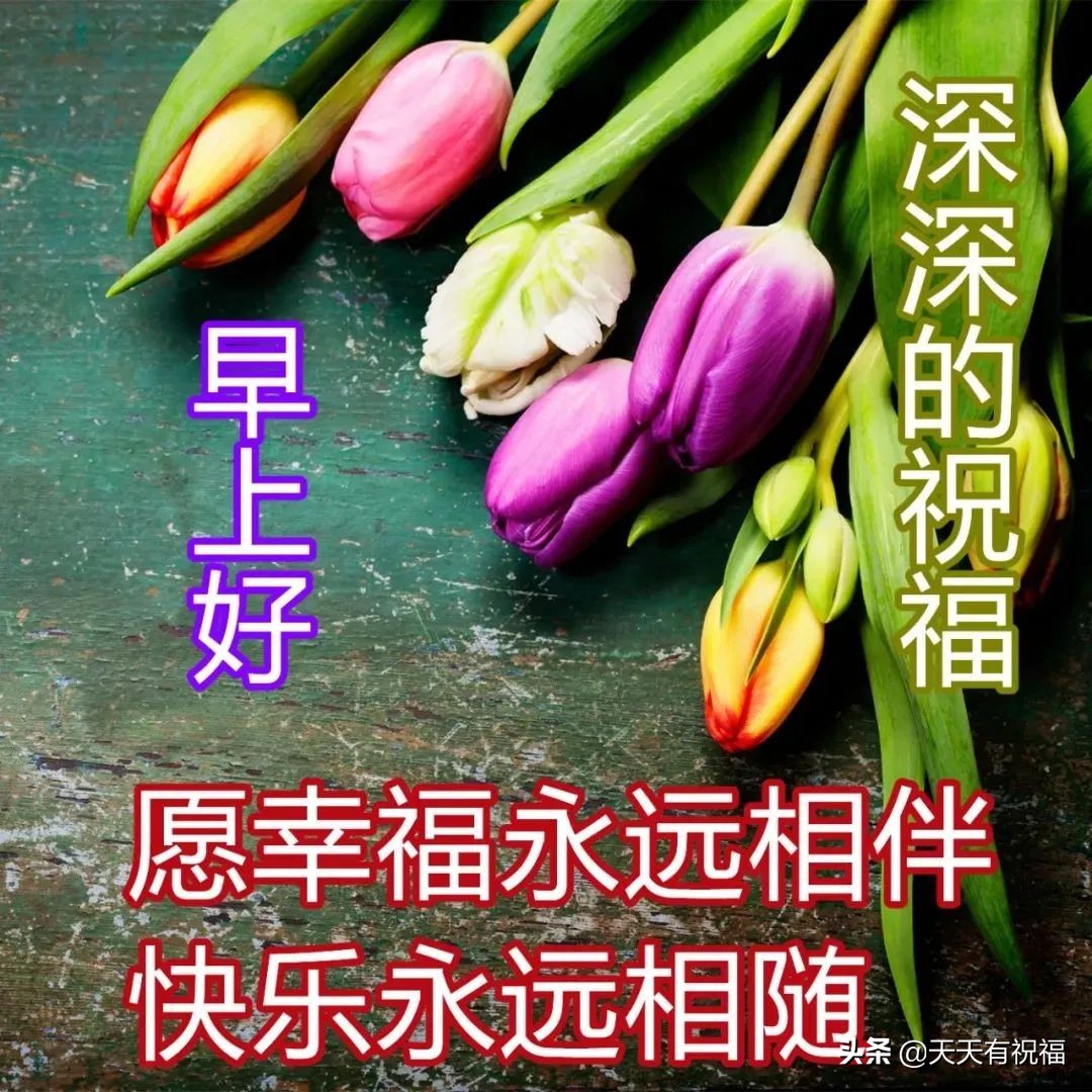 早安祝福语简短问候语图片,最美早安问候祝福语图片带字温馨