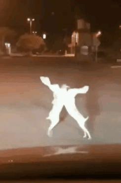 “性取向测试!”如果你看到的是一群人在游泳,那就再仔细看看