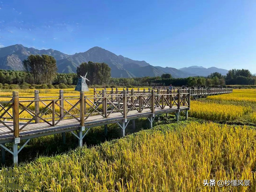 北京可以搭帐篷的公园,北京西山国家森林公园搭帐篷