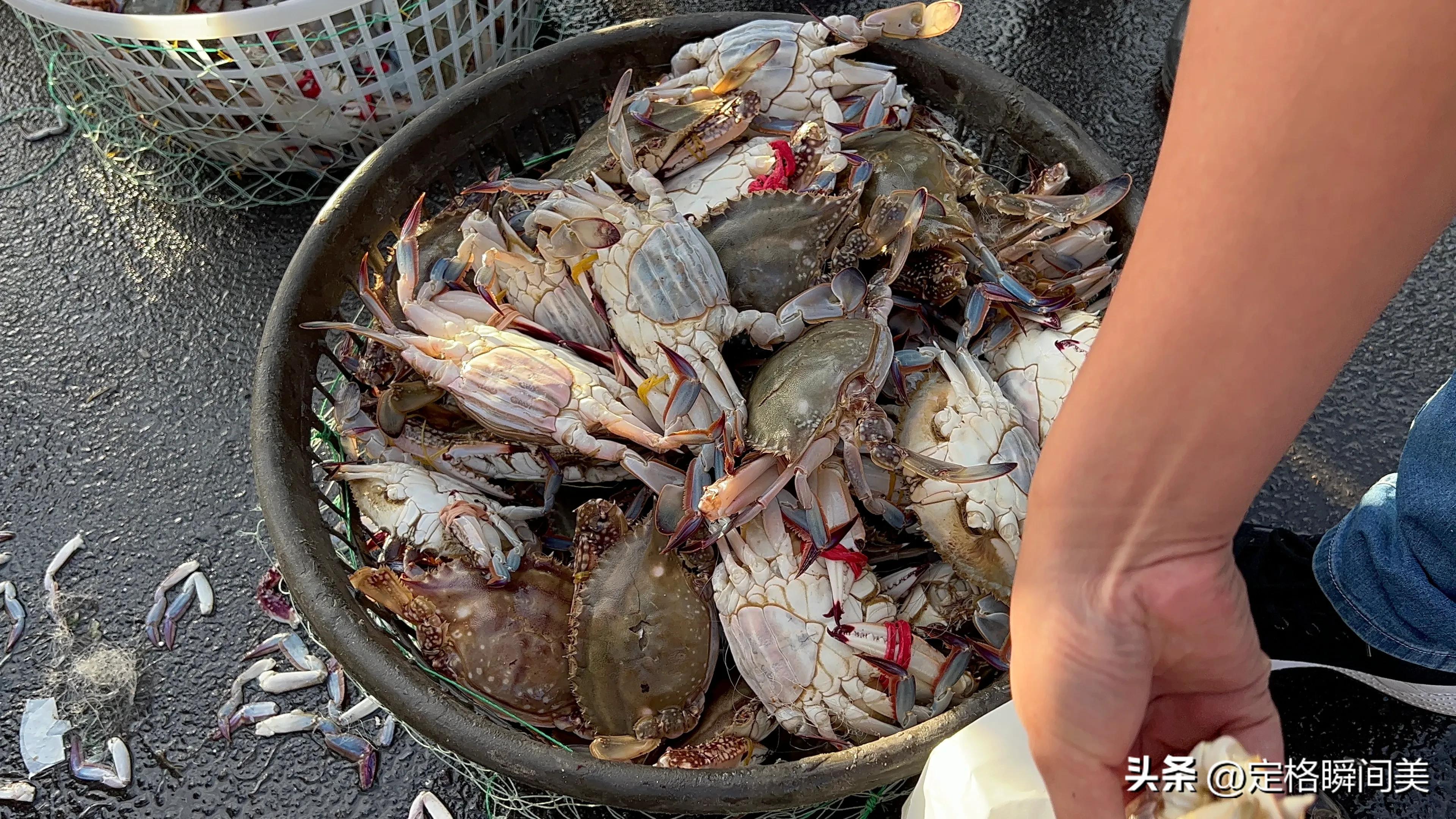 梭子蟹多少钱一斤黄岛,抢购梭子蟹30元一斤