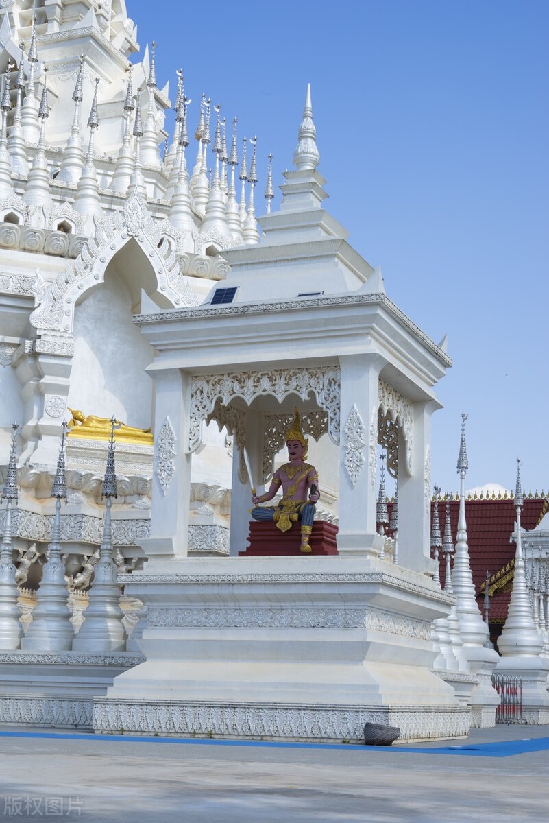 西双版纳望天树景区与热带植物园,西双版纳值得去的四个旅游景点