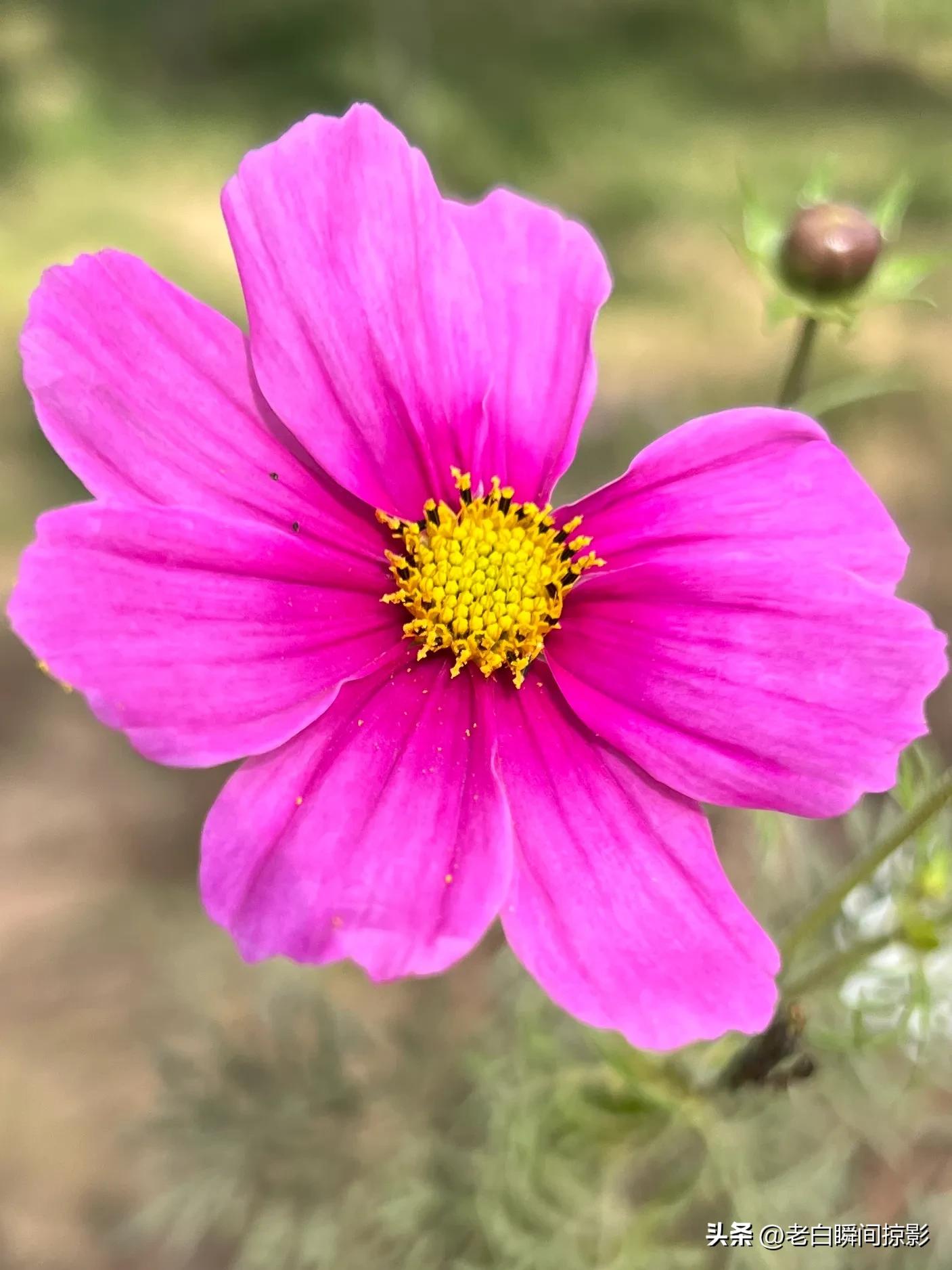 人不能闲着一闲就会多事,人不能闲着一闲就想太多