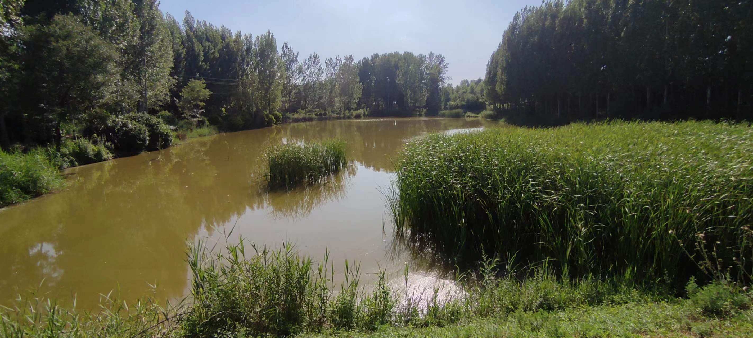 古中国考出彭蠡泽｜张笔魁