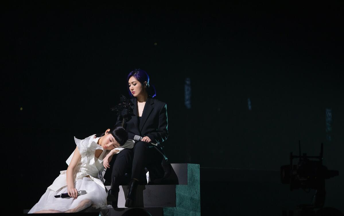 声生不息两队成员,声生不息两队嘉宾全名单