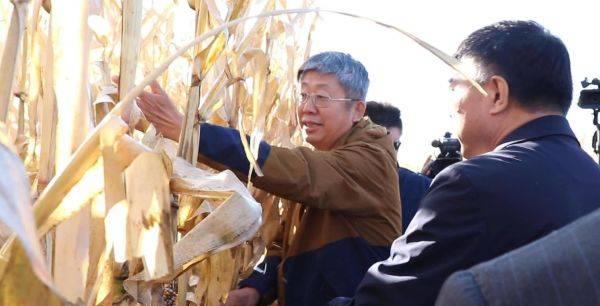 沃滴滴生物液态肥在玉米、马铃薯主产区多地刷新高产记录