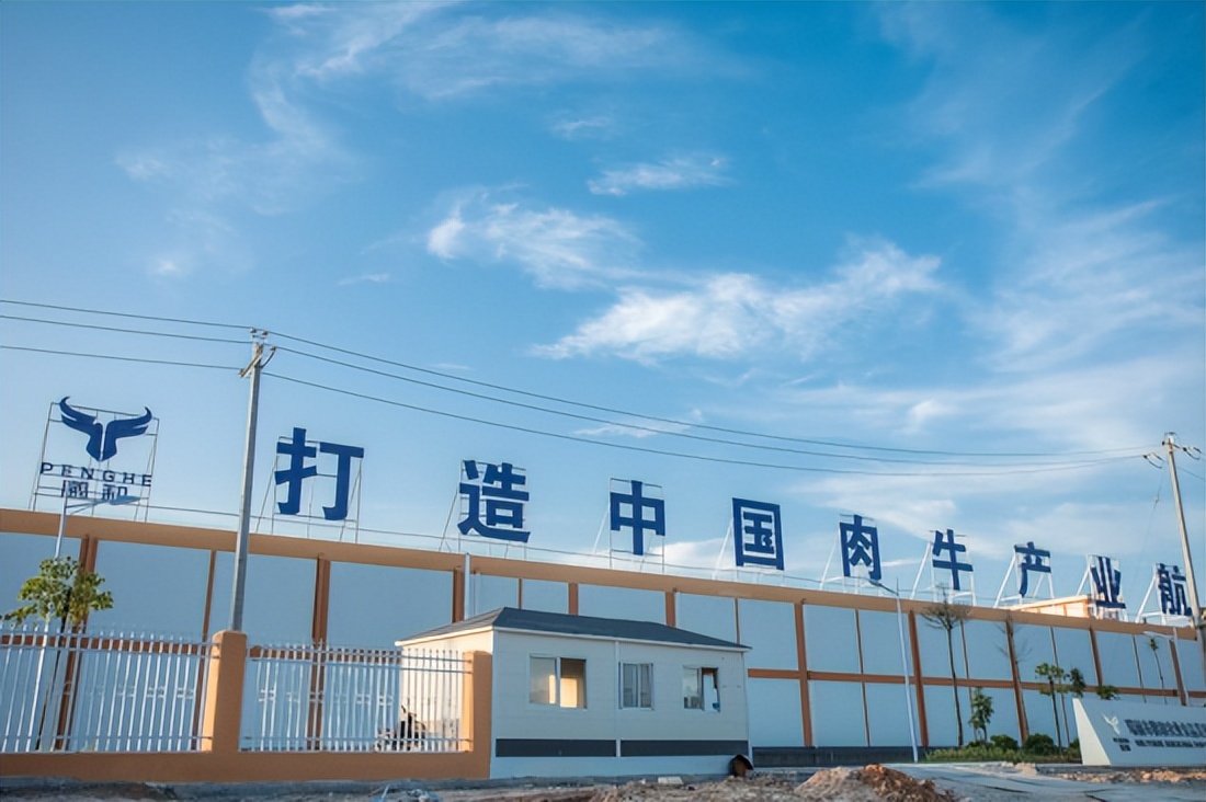 鹏和境牛2023年成都区域招商大会圆满举行