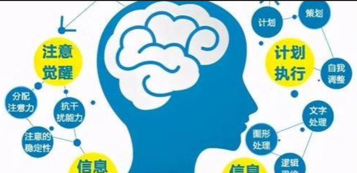 开发右脑，提升记忆力，实现左右脑平衡发展-脑博士