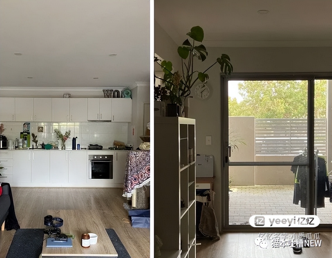 “留学生靠下半身拿pr”华人房东爆出惊人言论！因合同起冲突