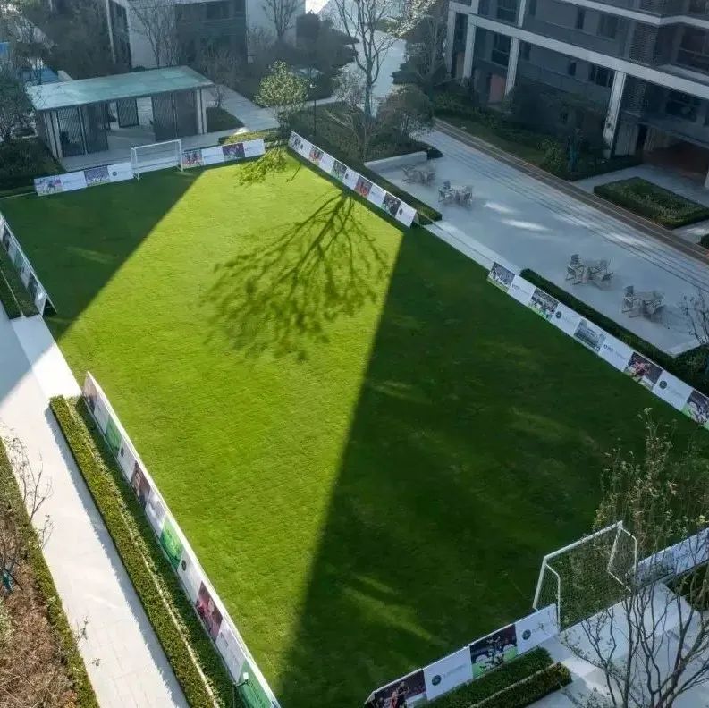 惠及45万人!宁波精准破解身边体育设施“最后500米”难题