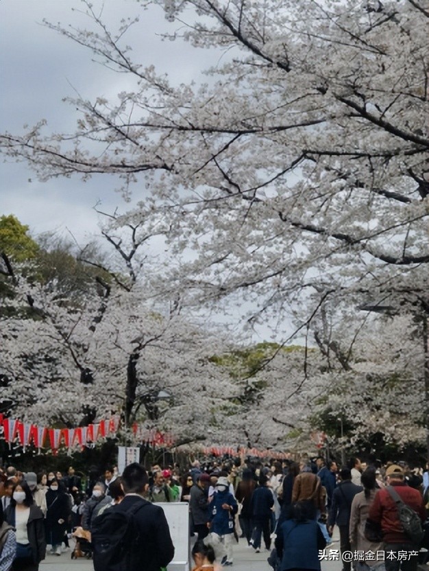 上海人在日本定居,上海人到大阪定居