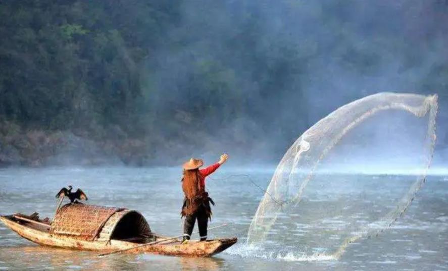 古代时候鱼一斤多少钱,古时候鱼比肉贵吗