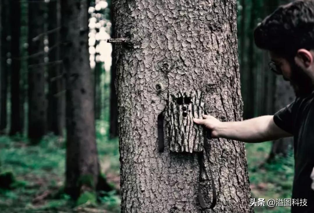 小红书热门相机,鉴定小红书