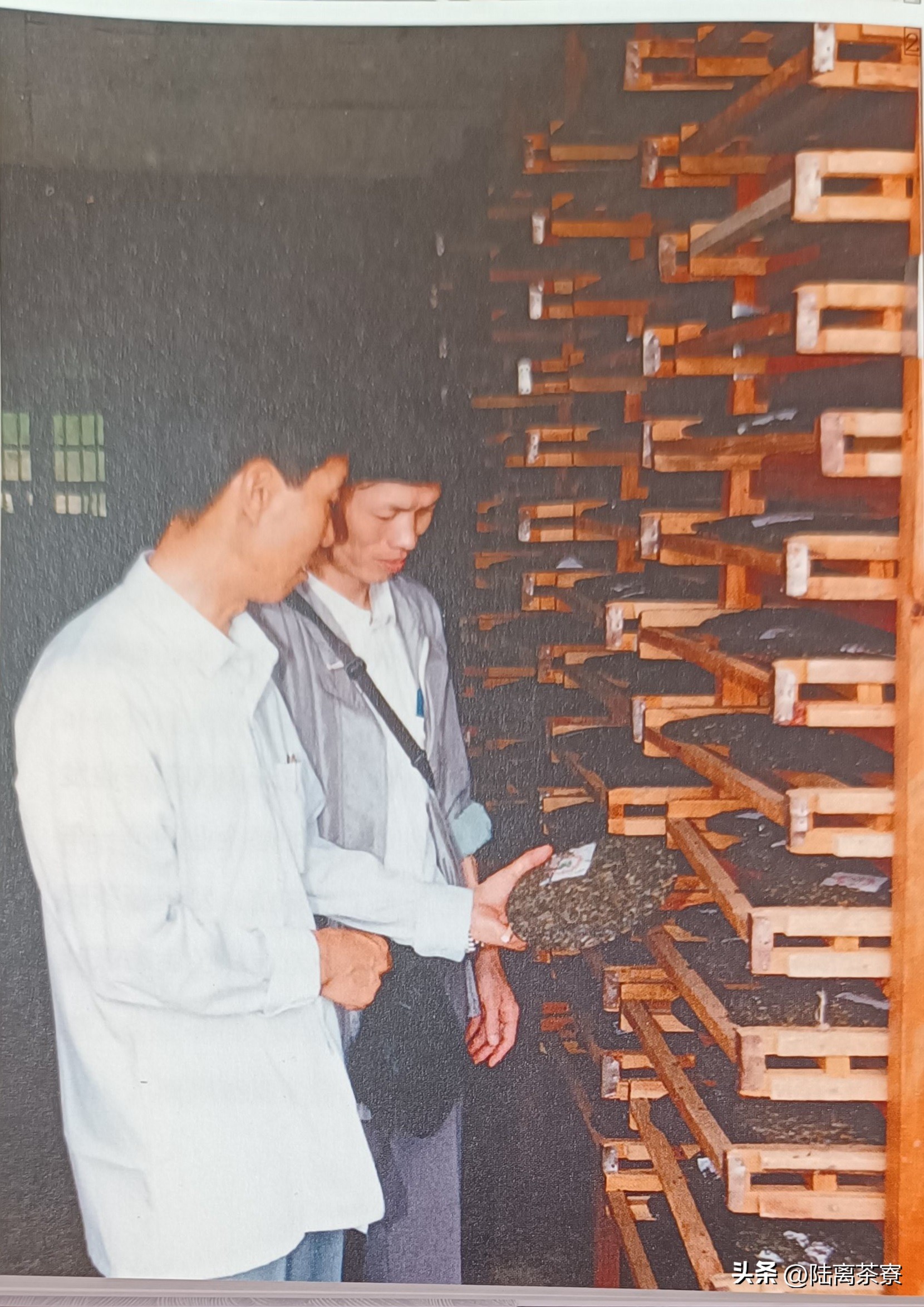 澳门高端普洱茶,澳门华联监制普洱茶