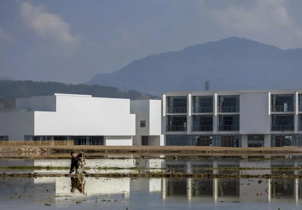 打造美丽乡村建设的金点子,美丽乡村规划与建设典型案例