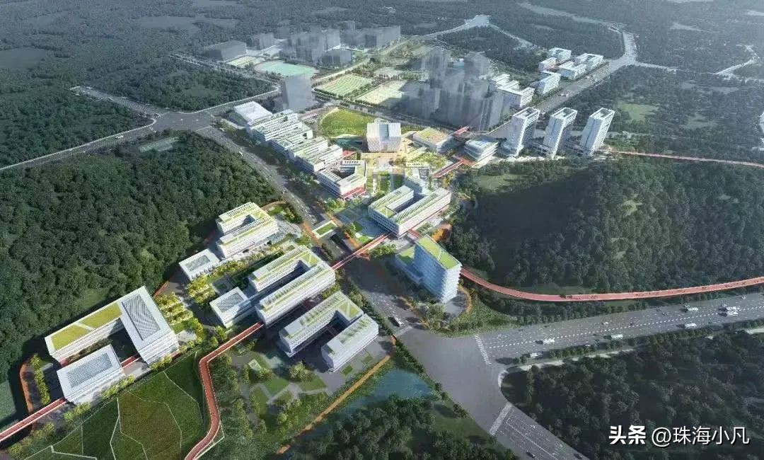 珠海新一波大学名单,珠海今年新招生的大学有哪所