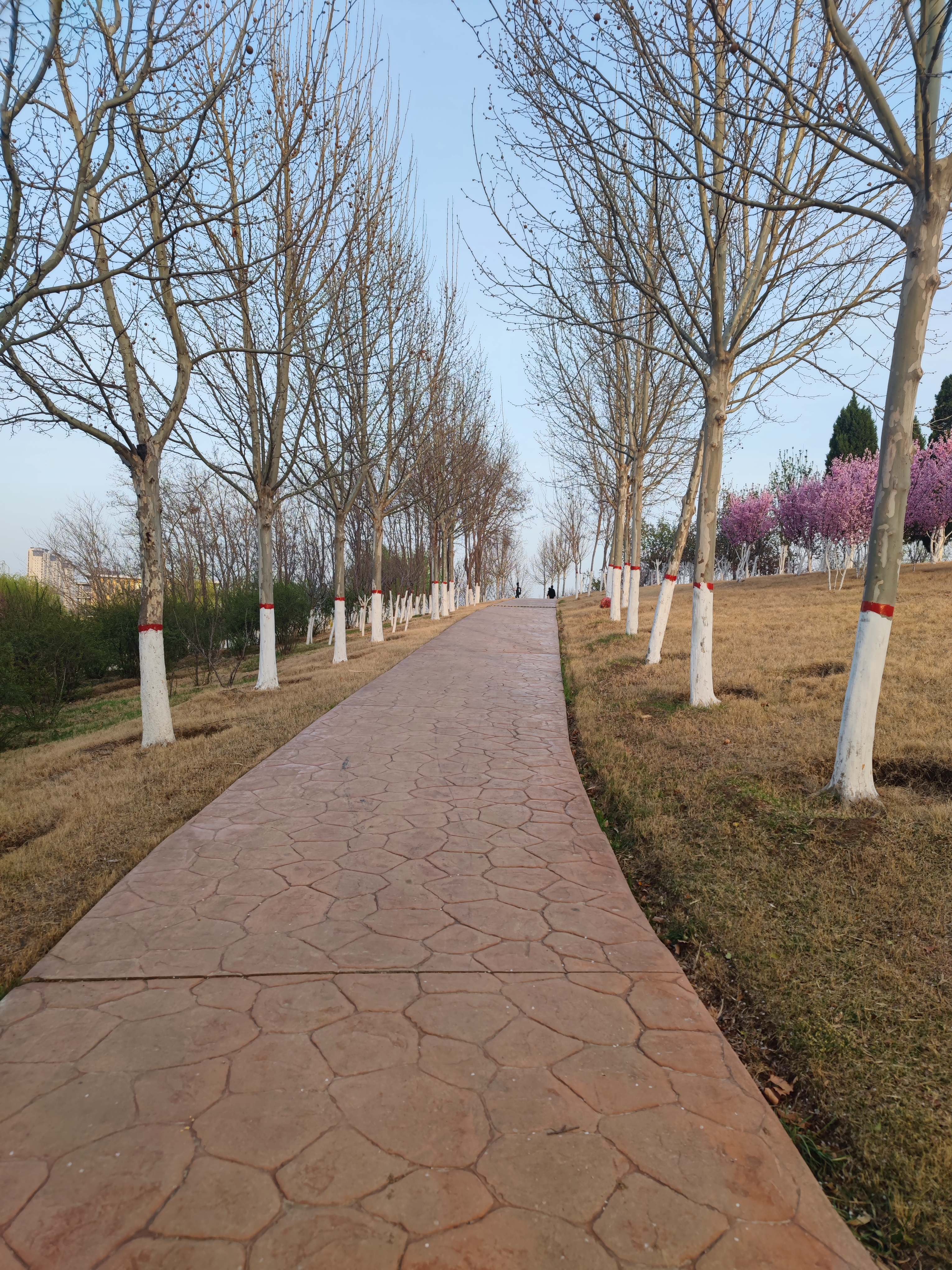 邯郸疫情旅游攻略,疫情当前少去人多的地方