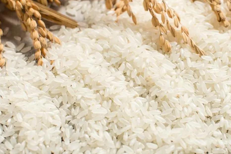 全球海水温度异常,全球出现气候灾难