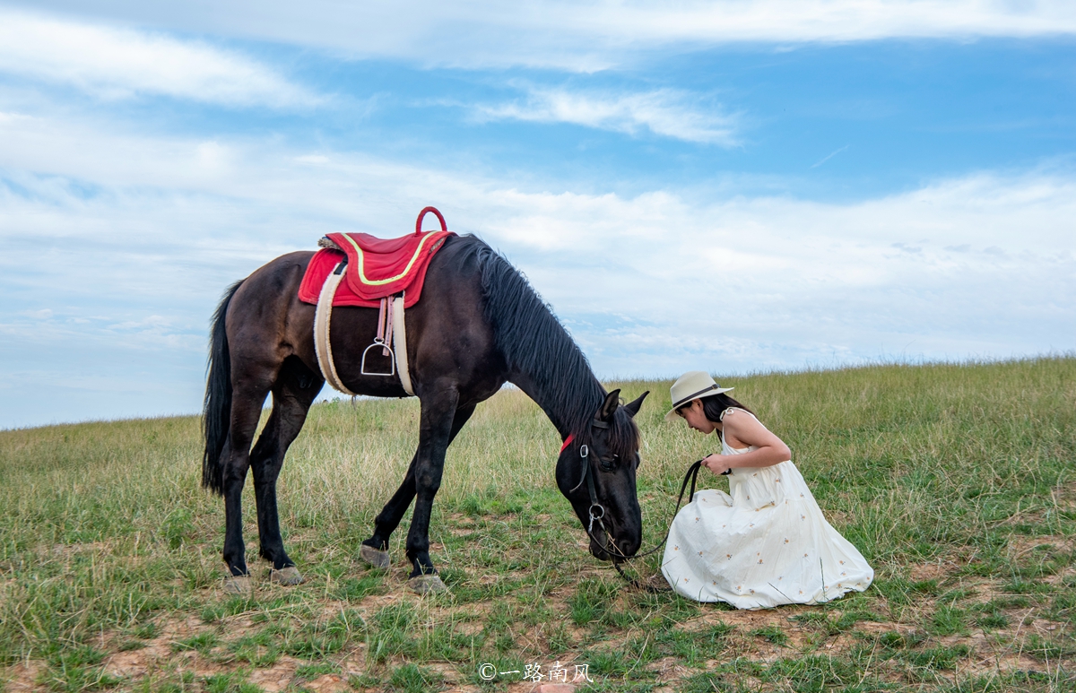 河南特别大的草原,美丽的河南大草原