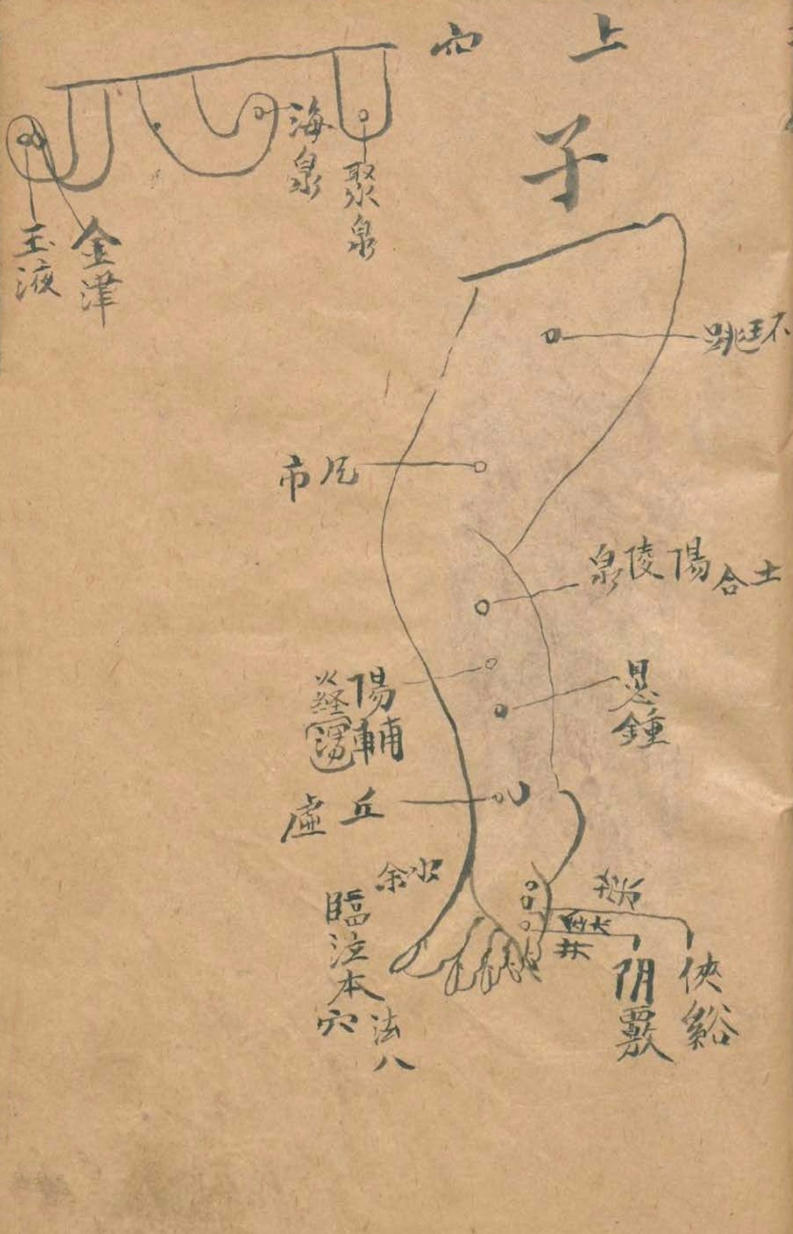 放痧疗法视频,放痧的最佳方法