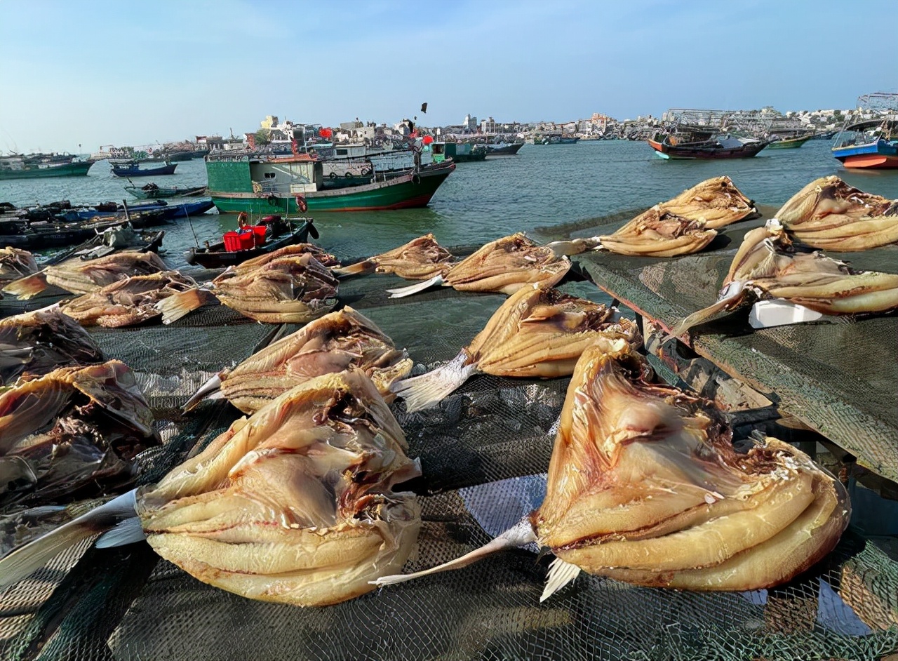 海南印象：女人太能干了，海边晒的大鱼*你干**认识吗？