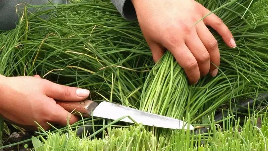 爱奇艺vr打卡不返现,京东爱奇艺vr打卡