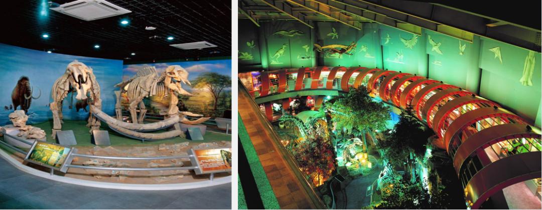 诚邀您的球队参加2023耐克运动营夏季足球邀请赛