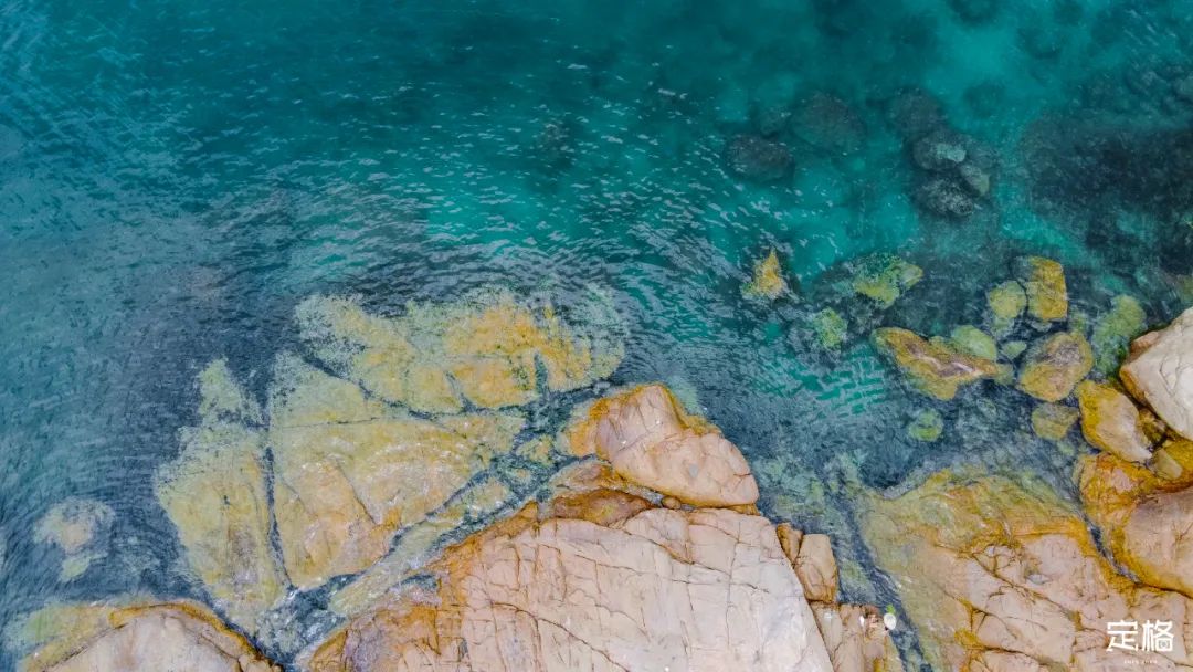 深圳极少人知的沙滩，要火