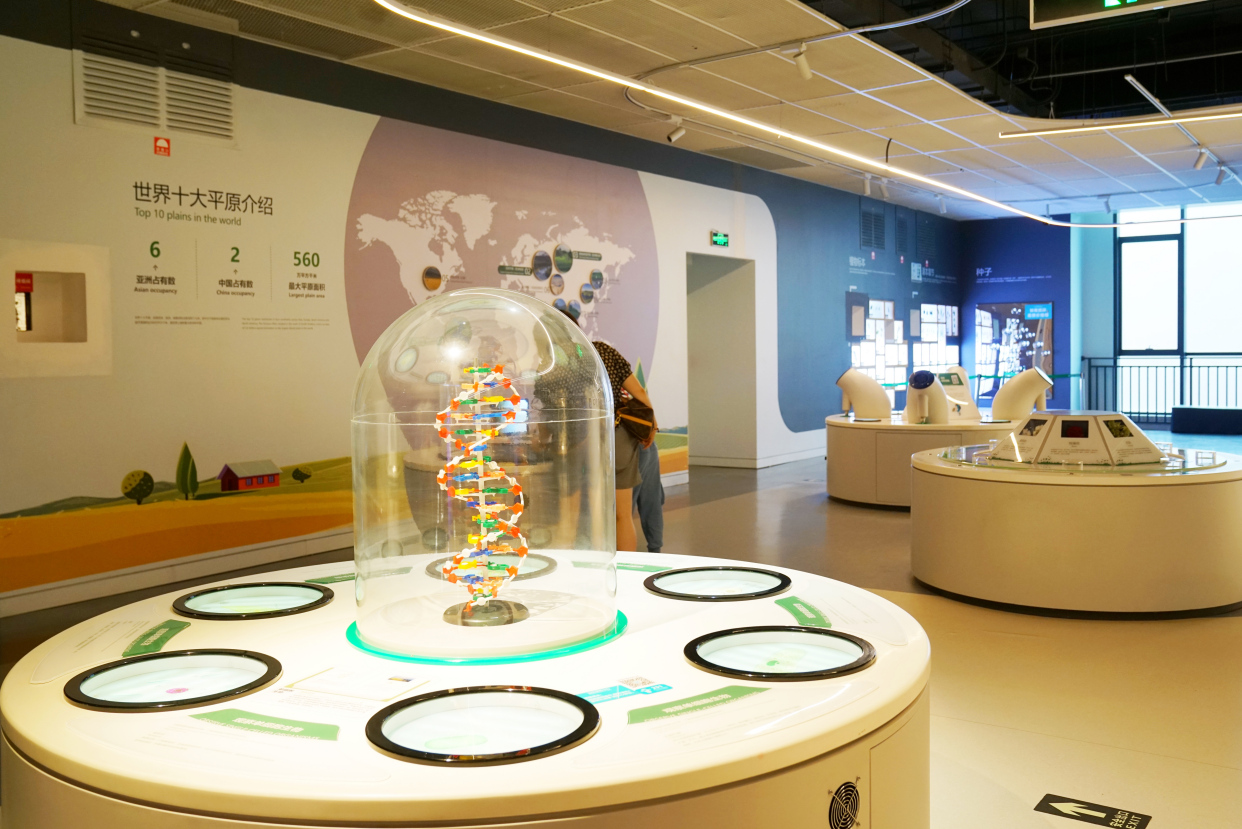 青岛夏日旅行,青岛之旅享受夏日与海风