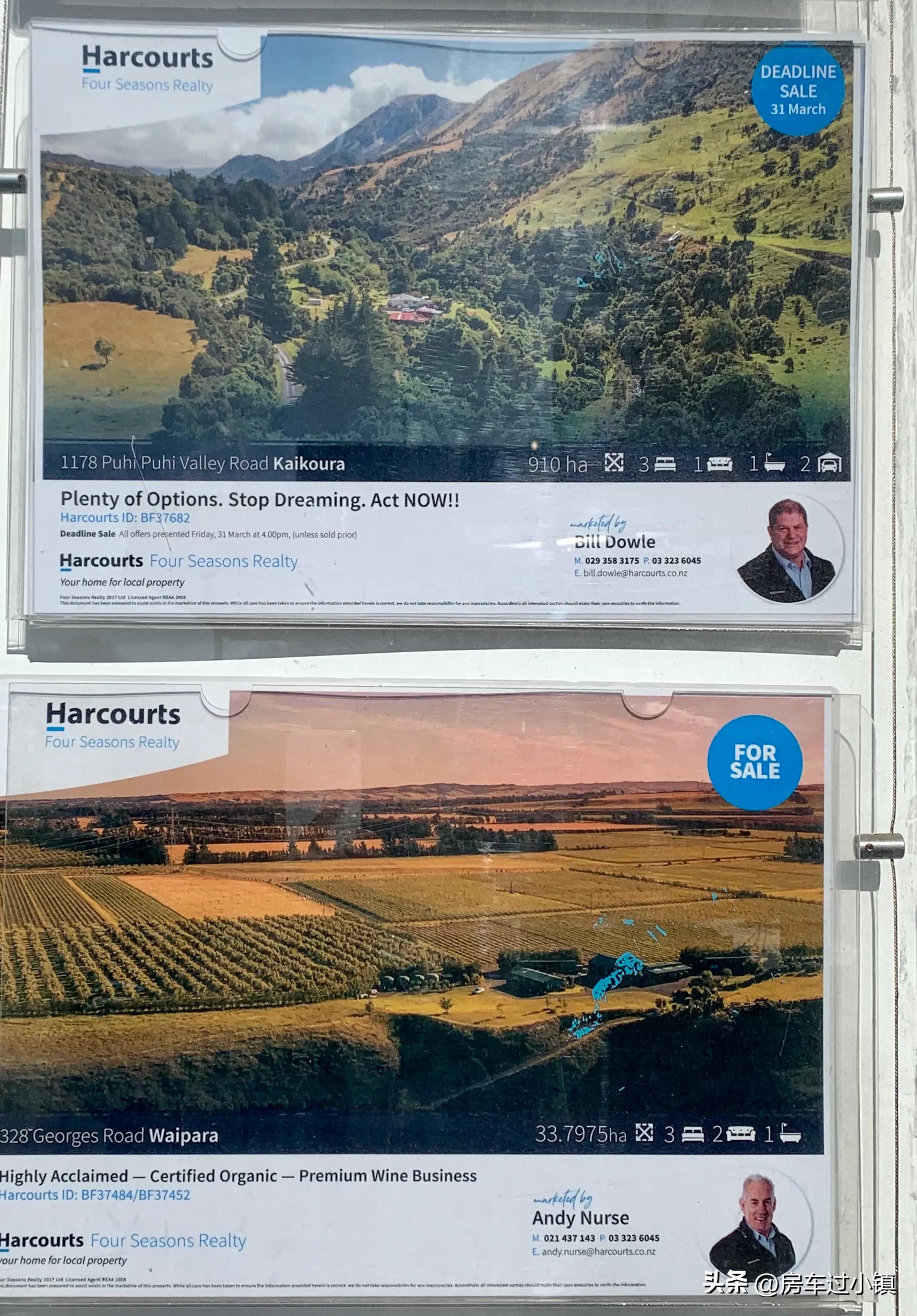 阿拉蕾的小镇、五元松果及其它——新手新车新西兰之十