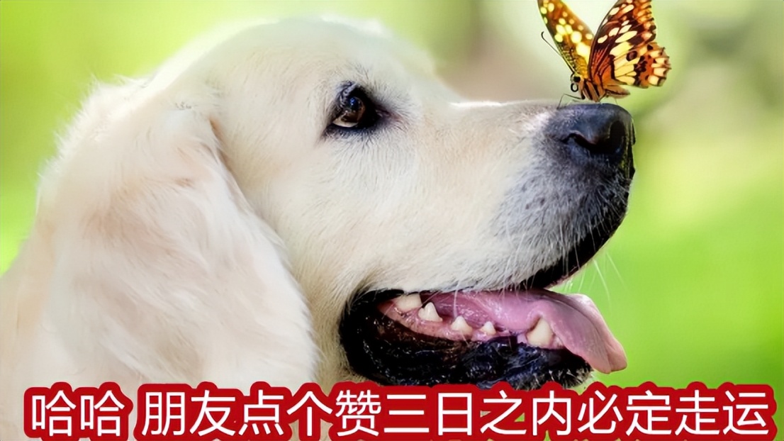 感冒向老板请假,生病了怎样向女老板请假