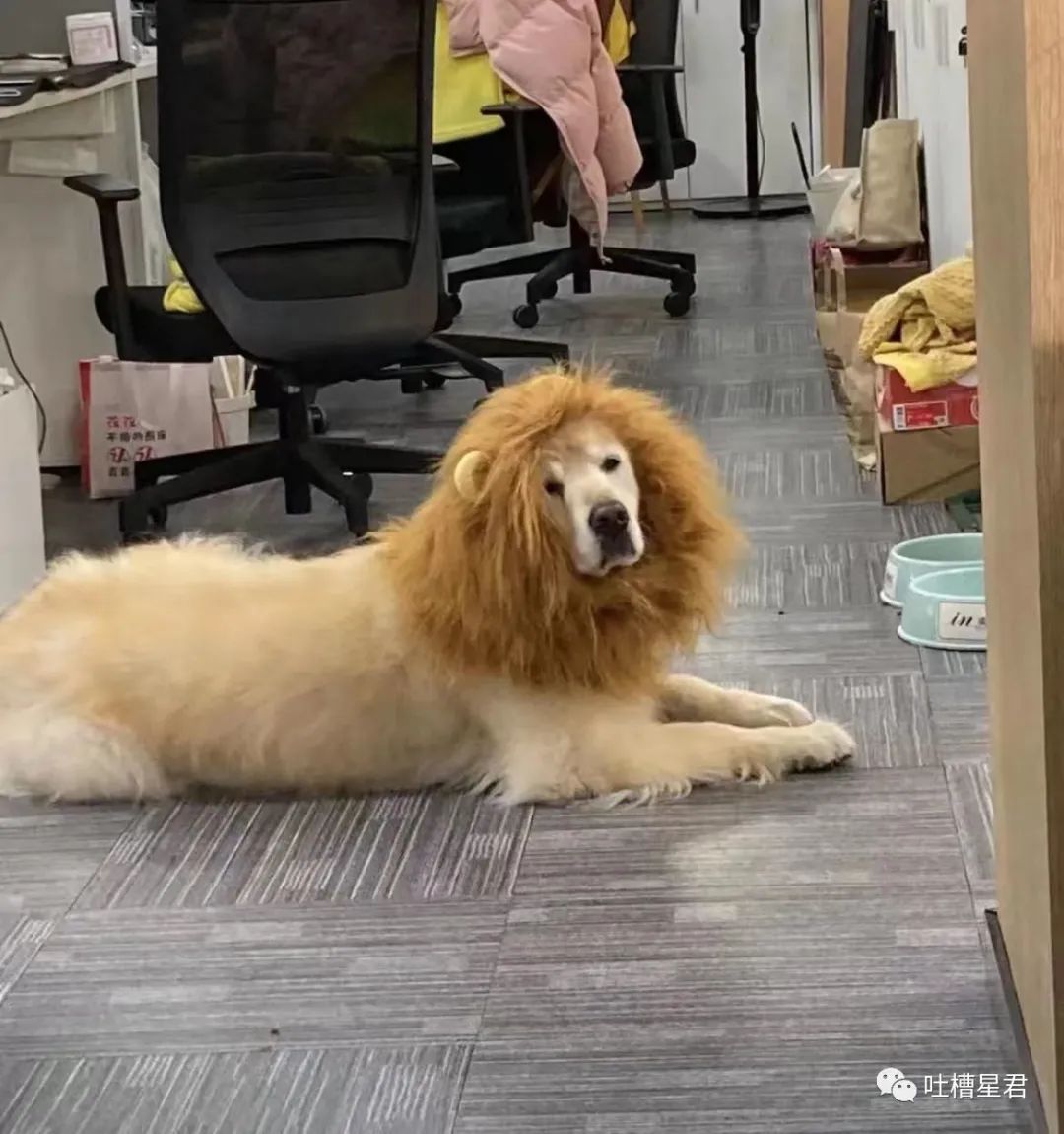 千万不要乱起淘宝名字,千万不要随便起淘宝名