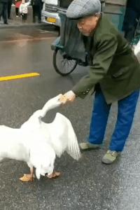 “我再也不想跟老公一块睡了”网友：我出50块，把床铺大点哈哈哈