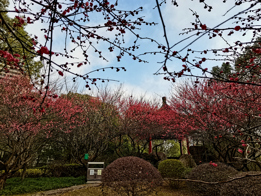 是仪：心中有民（八）