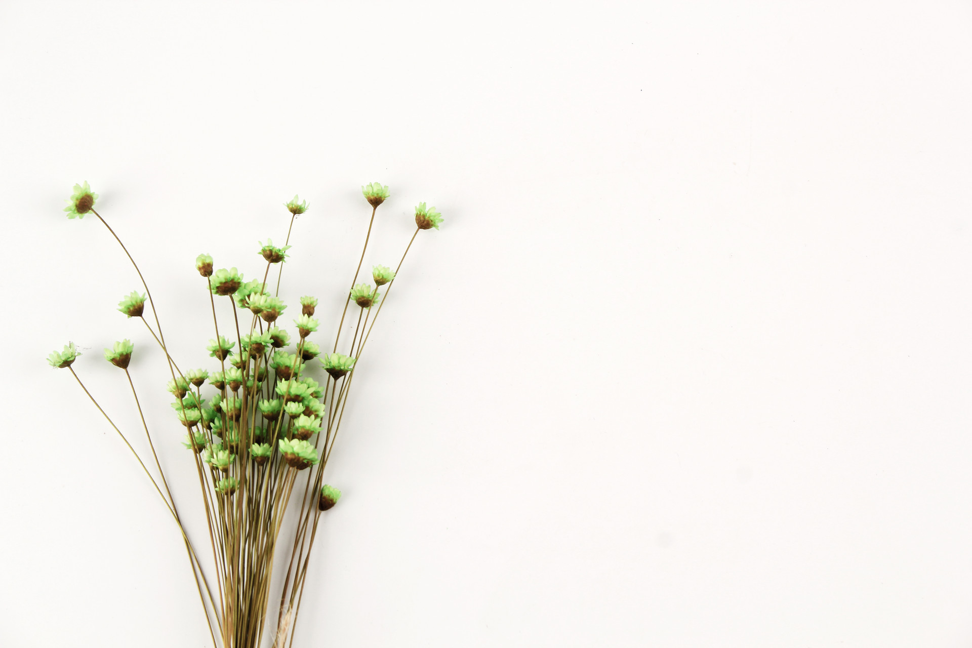 杨绛经典语录人生感悟500字,杨绛先生经典语录与人生感悟句子